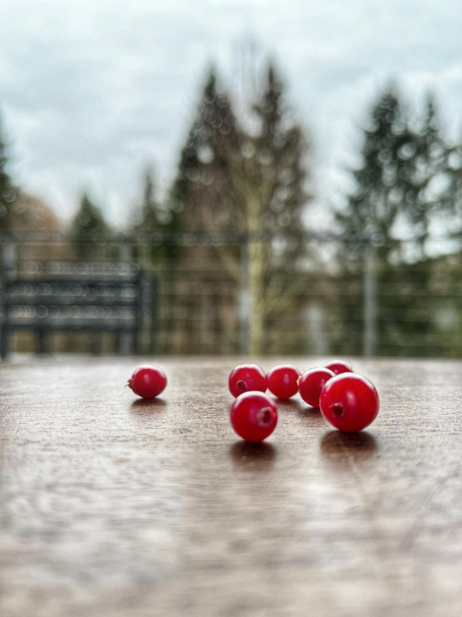 Rudle Villa Swierkocin  Екстериор снимка